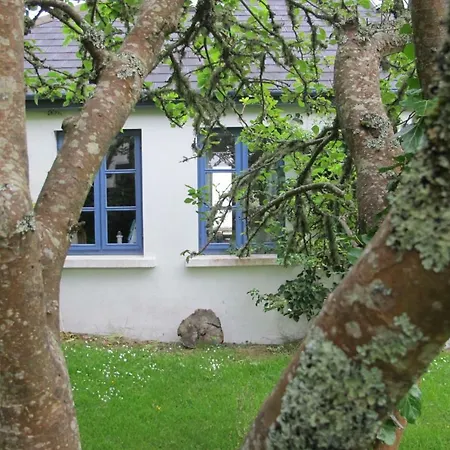 Muckle Flugga Goleen