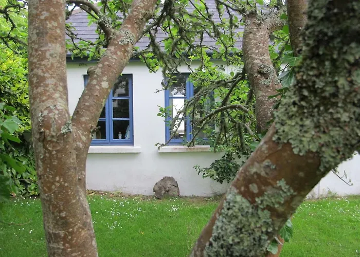 Muckle Flugga Goleen